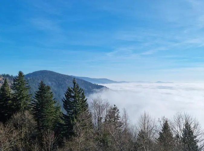 Ritzmais * Bischofsmais