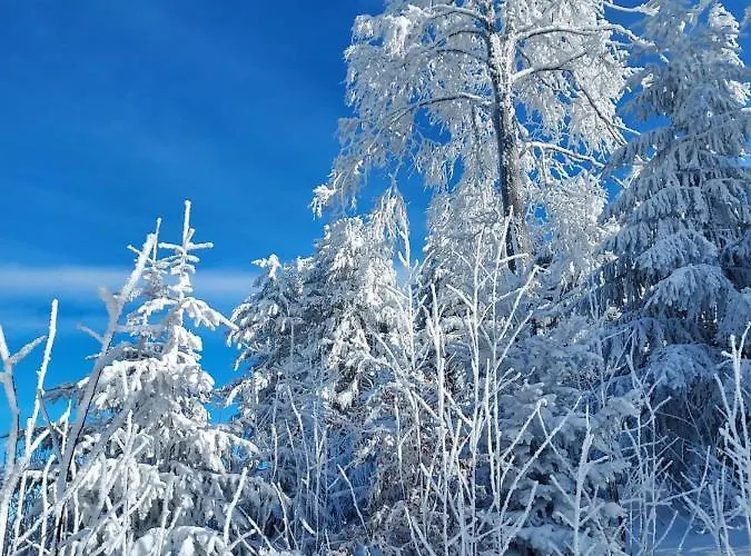 Ritzmais Apartment *